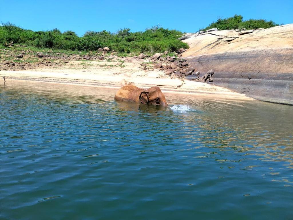 Gal Oya Lake View Inginiyagala Polwatta Exterior foto