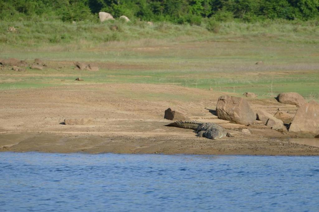 Gal Oya Lake View Inginiyagala Polwatta Exterior foto